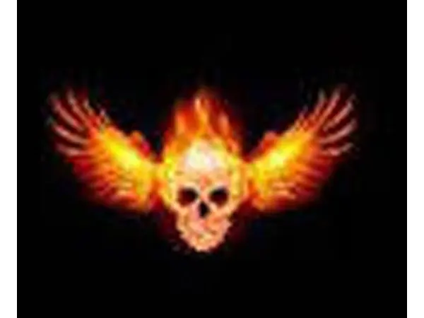 logo folie pro Led logo projektor UNI 2ks LEBKA s křídly